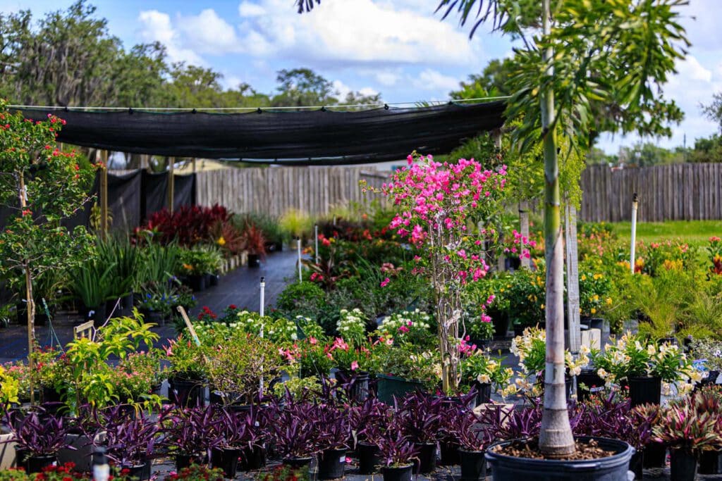 garden-center-spirit-lake-and-garden-center-1