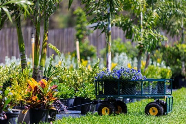 From First Visit to Finished Project: Lucas’s Spirit Lake Garden Center Experience