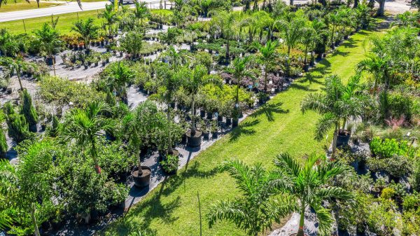 Customer Spotlight: Why David Can’t Wait to Buy More from Spirit Lake Garden Center