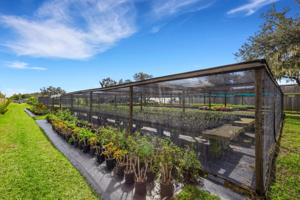 Why Homeowners Across Central Florida Love Visiting Spirit Lake Garden Center in Winter Haven