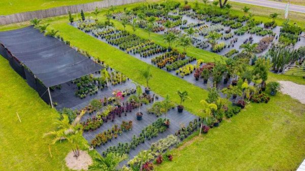 spirit-lake-garden-center-spirit-lake-garden-center-1