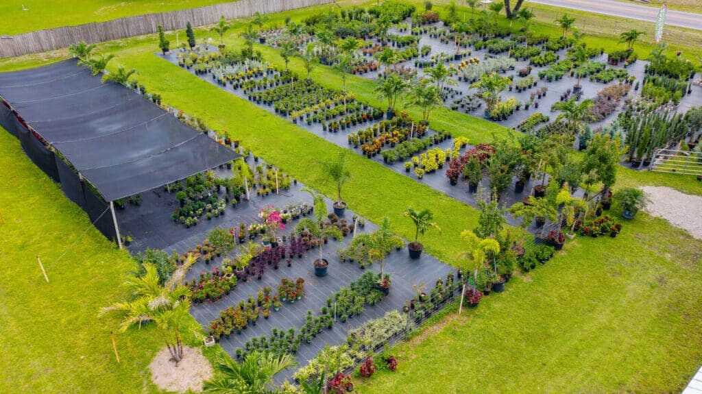 spirit-lake-garden-center-spirit-lake-garden-center-1