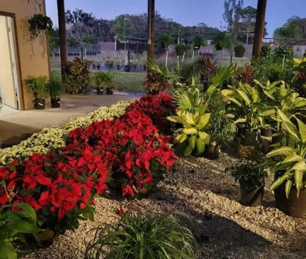 spirit-lake-garden-center-spirit-lake-garden-center-3
