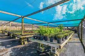 spirit-lake-garden-center-spirit-lake-garden-center-1