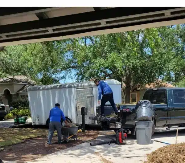 From Bare to Beautiful: A Happy Homeowner Shares Their Spirit Lake Garden Center Experience